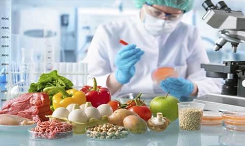 Programa Industrias Alimentarias