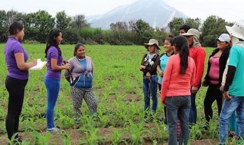 Programa Producción Agropecuaria